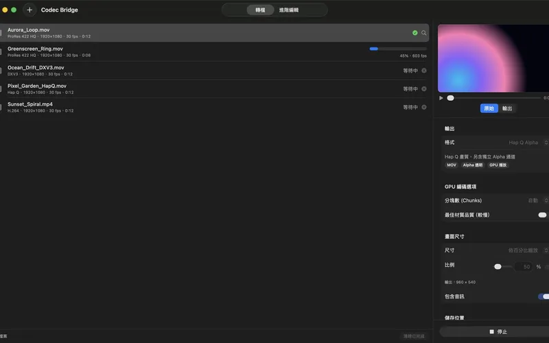 Codec Bridge — Video codec converter for VJs